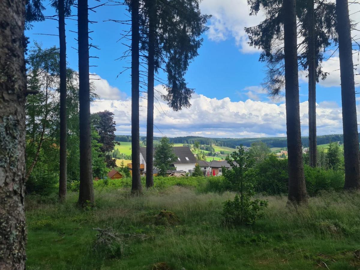 Ferienwohnung 'S Stueble Schönwald Luaran gambar